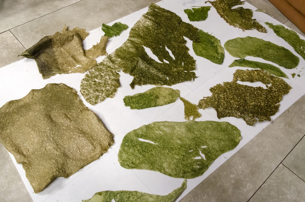 13 Paradise Marsh Maria Nalbantova work in progress reed material